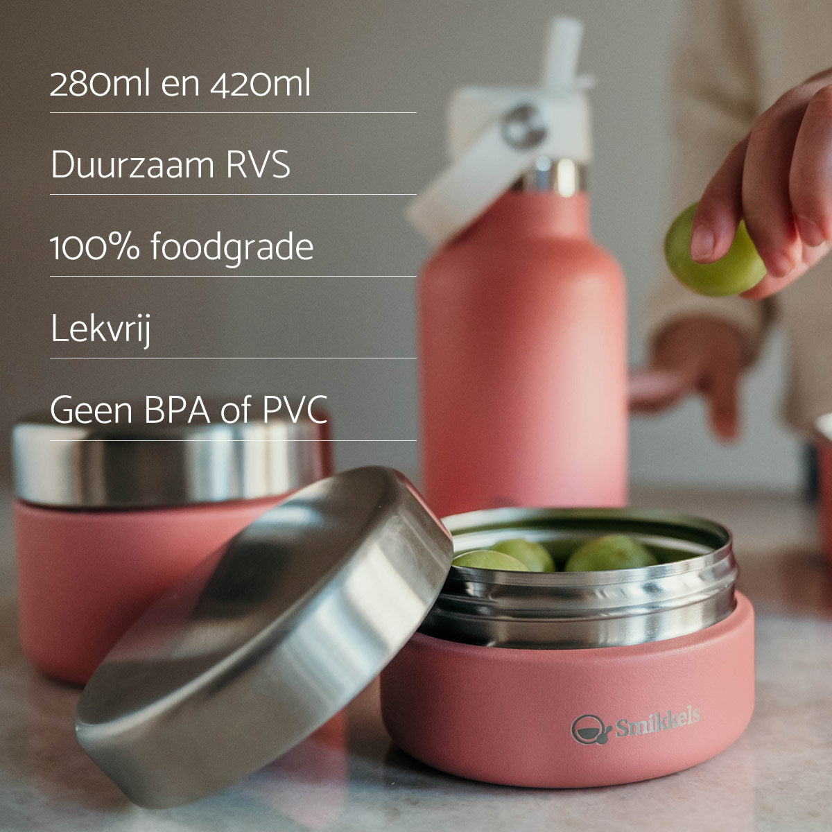 RVS Fruitbakjes Set