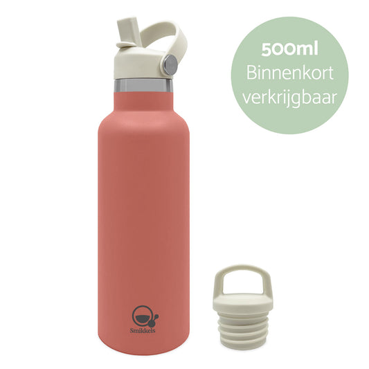 RVS thermosfles 500ml roze – Smikkels