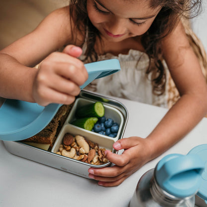 RVS lunchbox Daily Basic