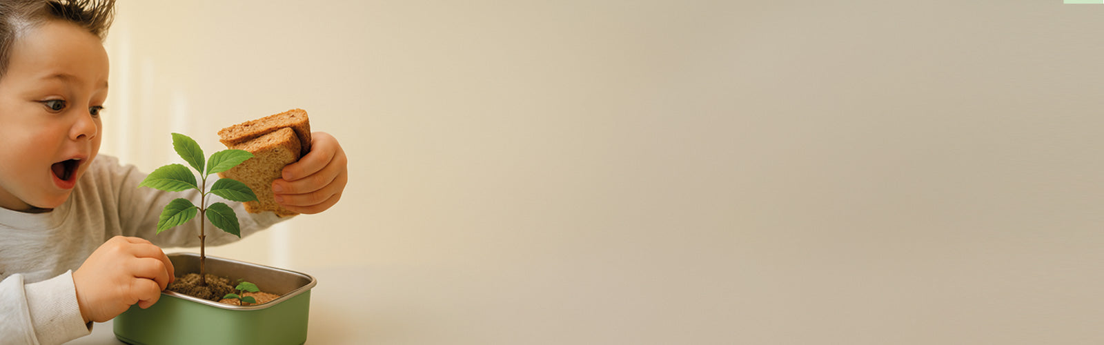 Header voor Black Friday Black Jaguar pagina Smikkels